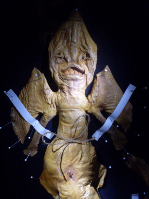 Jenny Haniver in der Ausstellung TIEFSEE Jenny Haniver in der Ausstellung TIEFSEE