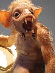 Türkischer Kobold