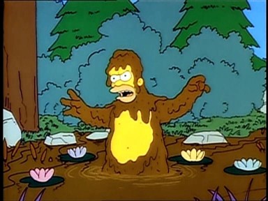 Simpsons: Vorsicht, wilder Homer