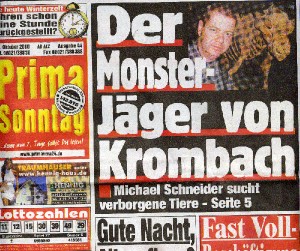 Der Monsterjäger von Krombach