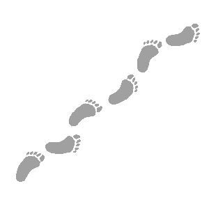 Hominologie